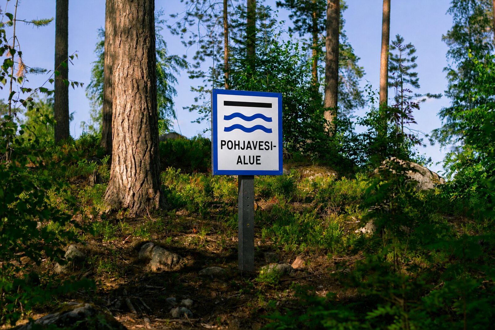 Sininen pohjavesialue-opastekyltti aurinkoisessa mäntymetsässä kallioisen kangasmaan keskellä.
